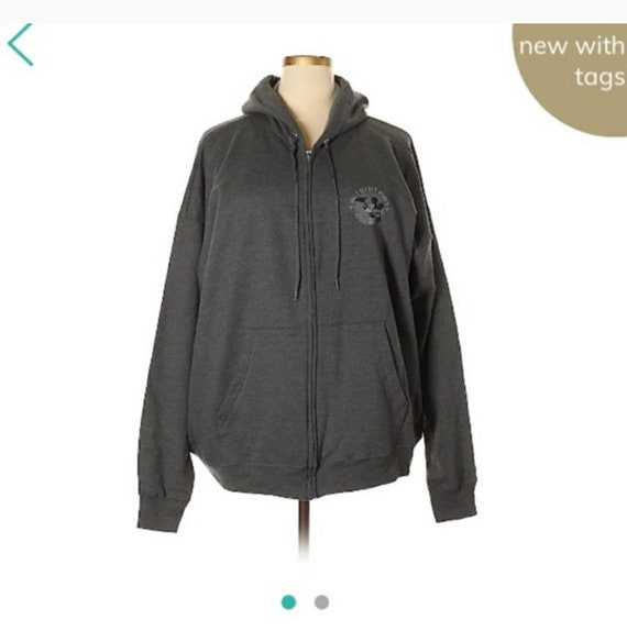 disney parks hoodie