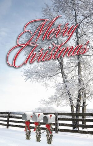Mail Carrier Postcard Merry Christmas with Trees | Etsy