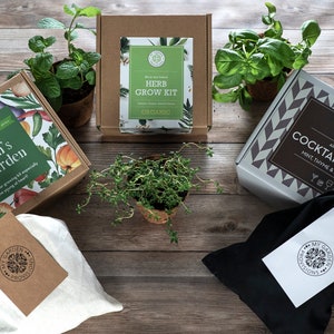 Cocktail Indoor Herb Garden, Herb Seeds, Cocktail Kit, Housewarming Gift, Home Garden, Garden Kit, Mint, Thyme, & Lemon Balm Seeds image 6