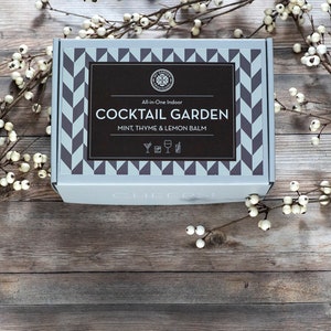 Cocktail Indoor Herb Garden, Herb Seeds, Cocktail Kit, Housewarming Gift, Home Garden, Garden Kit, Mint, Thyme, & Lemon Balm Seeds image 3