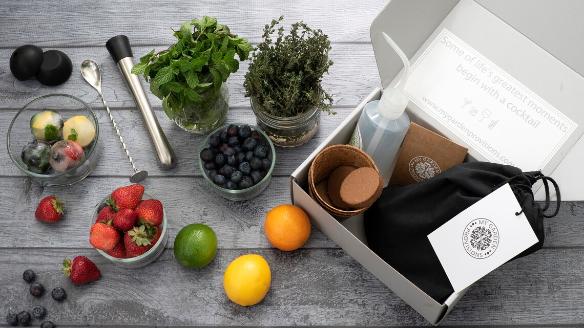 Cocktail Indoor Herb Garden Grow Kit Etsy