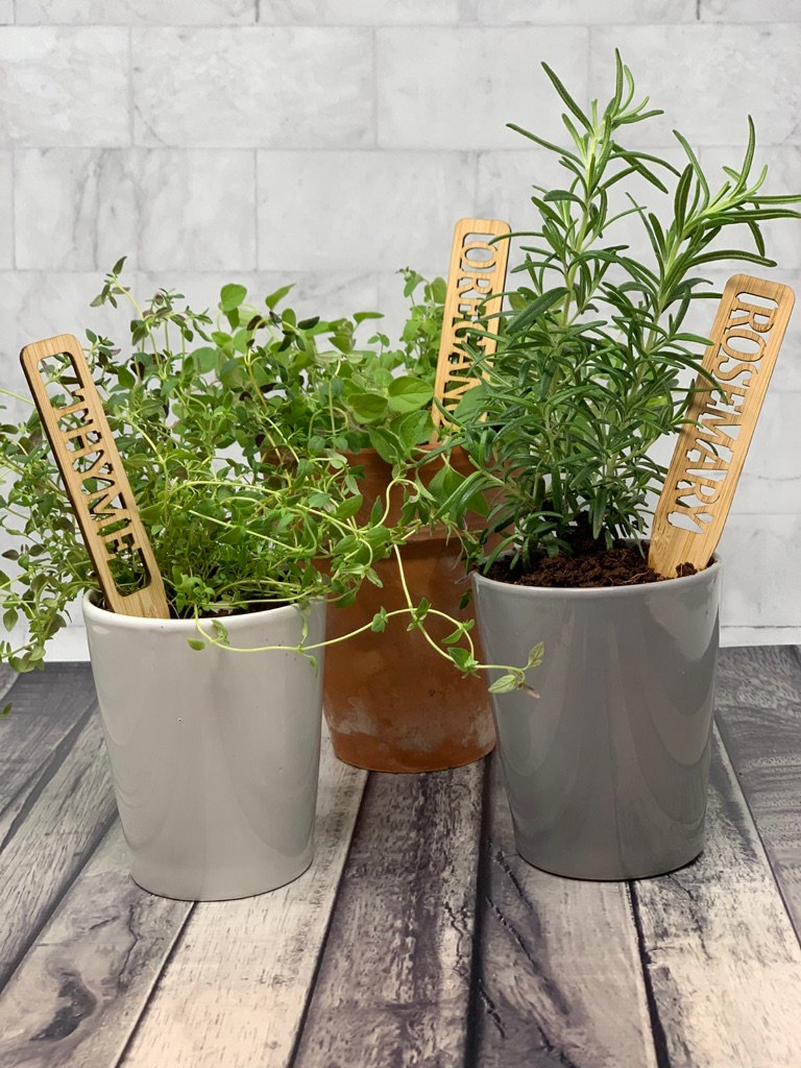 Bamboo Plant Markers Set of 8 Plant Tags Gift for the Etsy