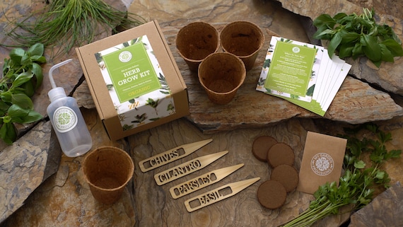 The Ultimate Guide To Medicinal Garden Kit Review