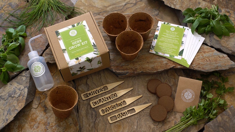 Indoor Herb Garden Grow Kit image 0
