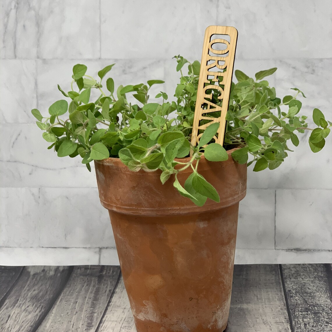 Bamboo Plant Markers Set of 8 Plant Tags Gift for the Etsy