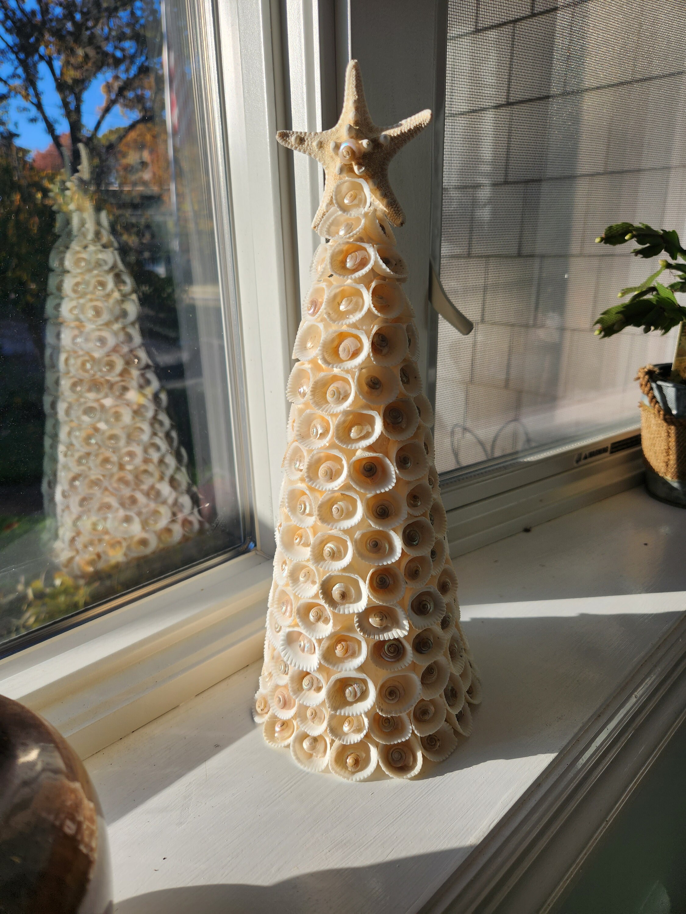Large Seashell Tree White Coastal Decor Gift Etsy