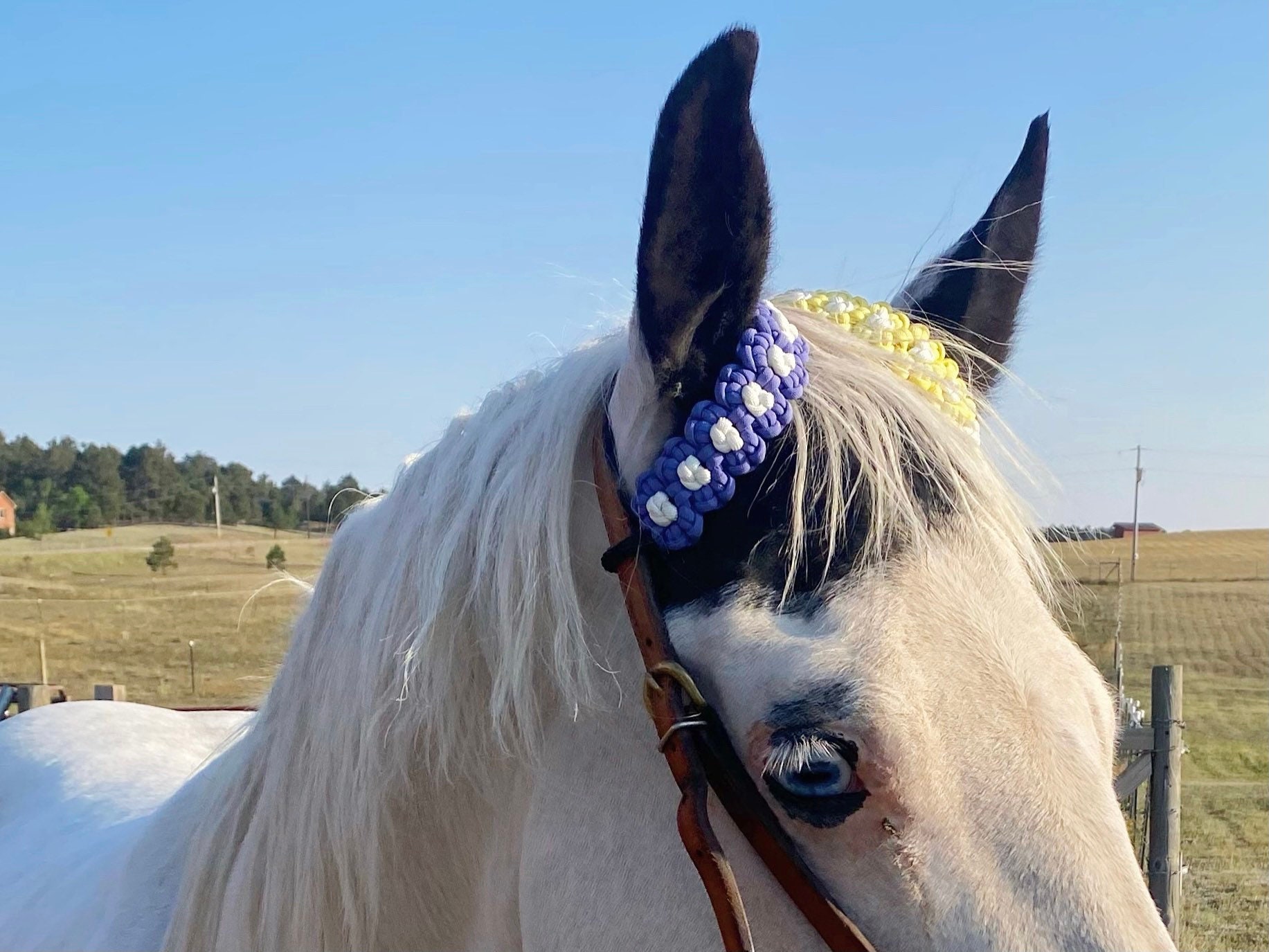 Flower Paracord Browband- Single Ear