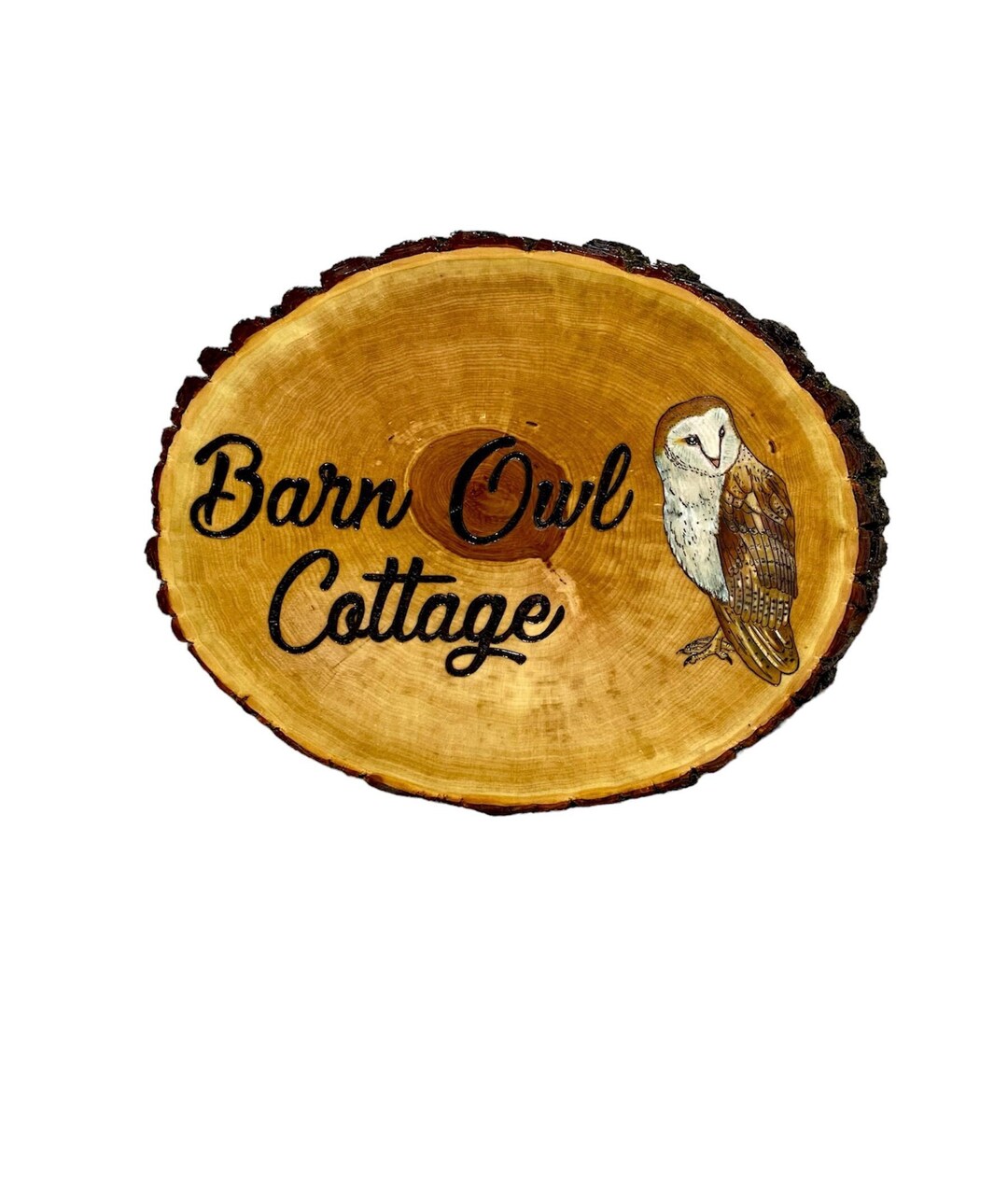 Owl Sign Barn Owl Wood Burning House Sign Custom Home Address House