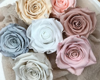 Stabilized roses I Durable flowers I Preserving Roses I Infinity Roses - in 7 colors, in 7 colours, Dried flowers I Dried flowers