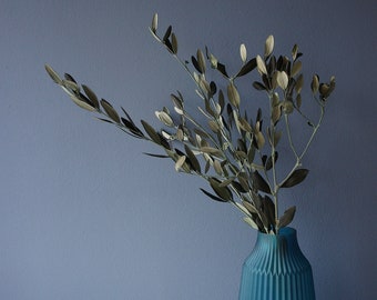 Series YOUR BEAUTIFUL HOME, preserved olive branches