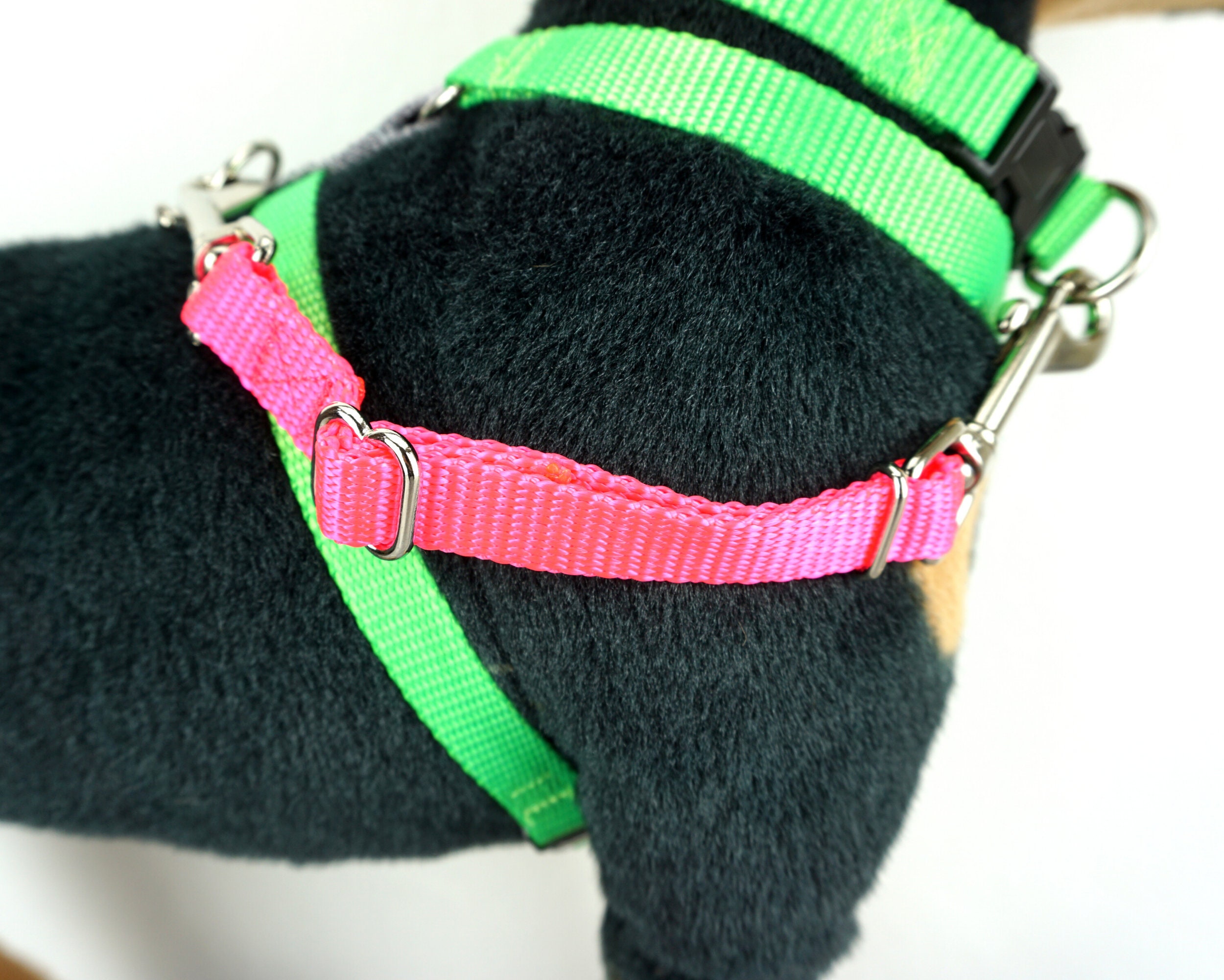 Adjustable Leash Safety Strap Harness to Collar Safety Cord Etsy