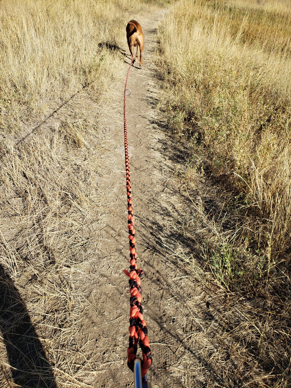 Adjustable Leash Hands Free Long Line Hiking Leash Dog Etsy