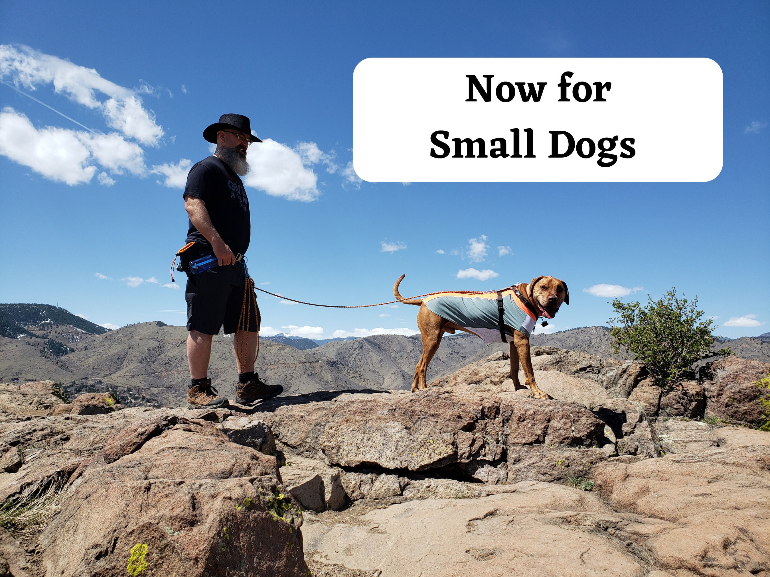 Can You Take Small Dogs Hiking