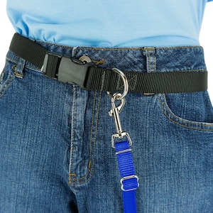 May include: Black nylon belt with a plastic buckle, worn with blue jeans. A silver metal clip is attached to the belt, connected to a blue nylon strap. The belt is designed for hands-free dog walking.