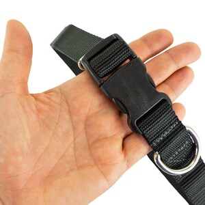 Lightweight hands free leash belt shown in the palm of an adult hand. Buckle is approximately the width of the hand in length and the fixed D ring is next to the non adjustable side of the buckle.