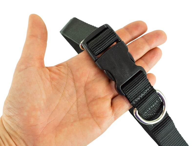 Lightweight hands free leash belt shown in the palm of an adult hand. Buckle is approximately the width of the hand in length and the fixed D ring is next to the non adjustable side of the buckle.