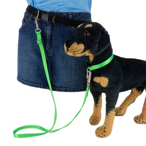 Belt shown on a mannequin form with a neon green lightweight adjustable leash and a dog form.