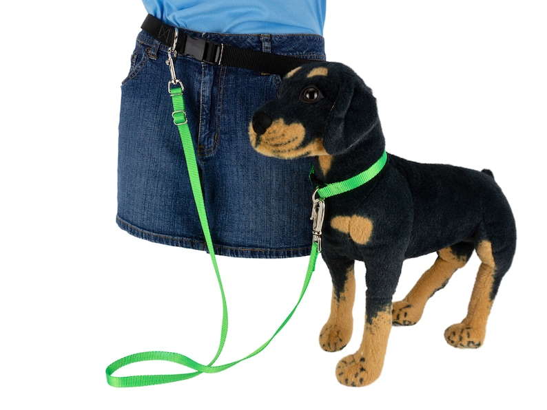 Belt shown on a mannequin form with a neon green lightweight adjustable leash and a dog form.