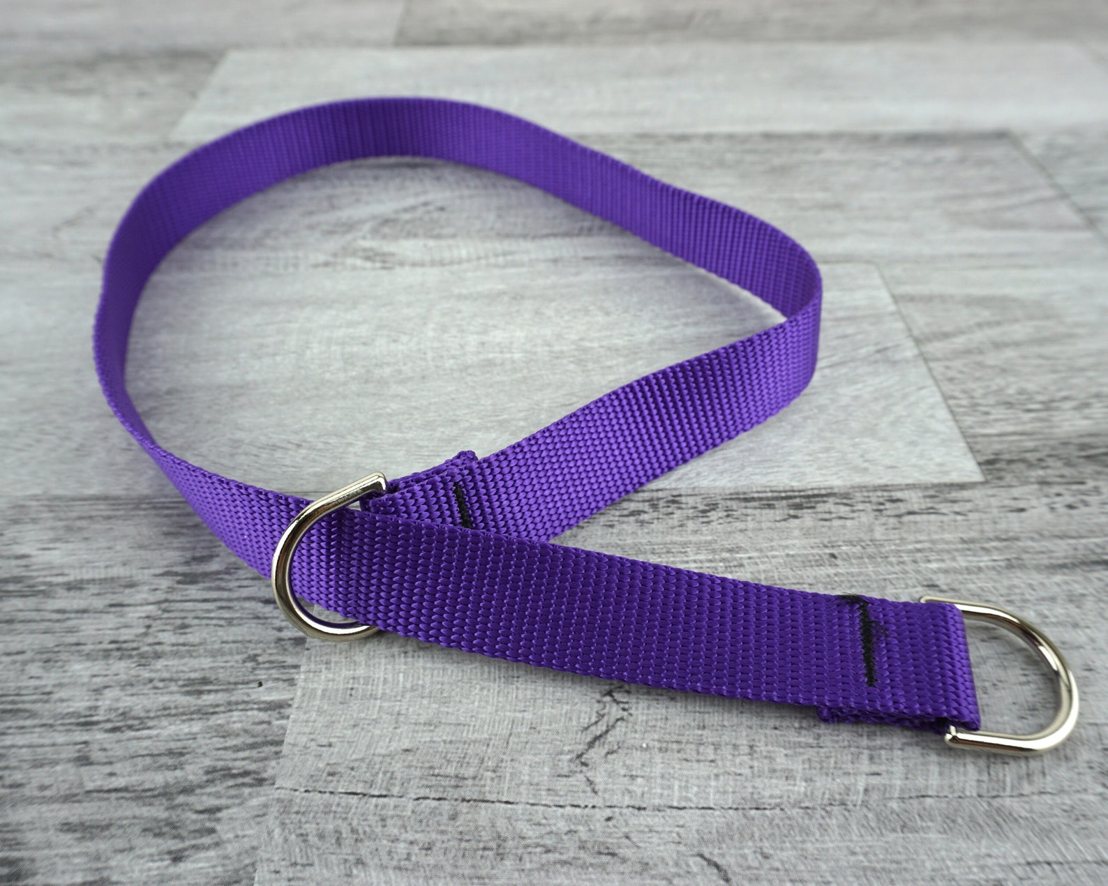Slip Lead Collar Harness Backup Collar Slip Lead for Dogs Etsy