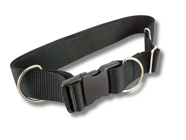 Light weight hands free leash belt shown in an oval position showing the floating d ring in addition to the other metal hardware and the black plastic buckle.