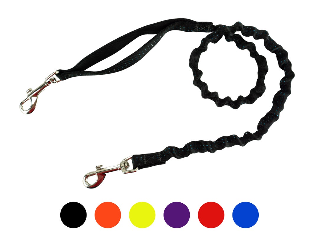 Light Weight Hands Free Bungee Leash for Small Dogs Shock Etsy