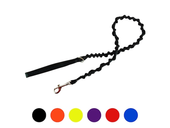 Bungee leash clearance for small dogs