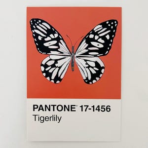 Oeuvre d'art originale peinte à la main - pas une impression. Papillon monochrome sur carte Pantone