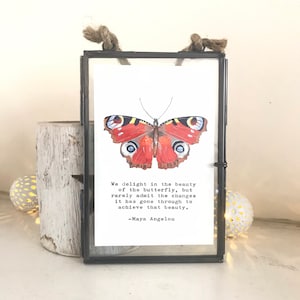A framed giclee print of my Hand painted and vintage framed Peacock butterfly with vintage typed Maya Angelou butterfly quote