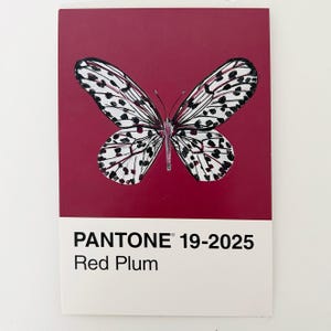Obra de arte original pintada à mão - não é uma impressão. Borboleta monocromática em cartão Pantone