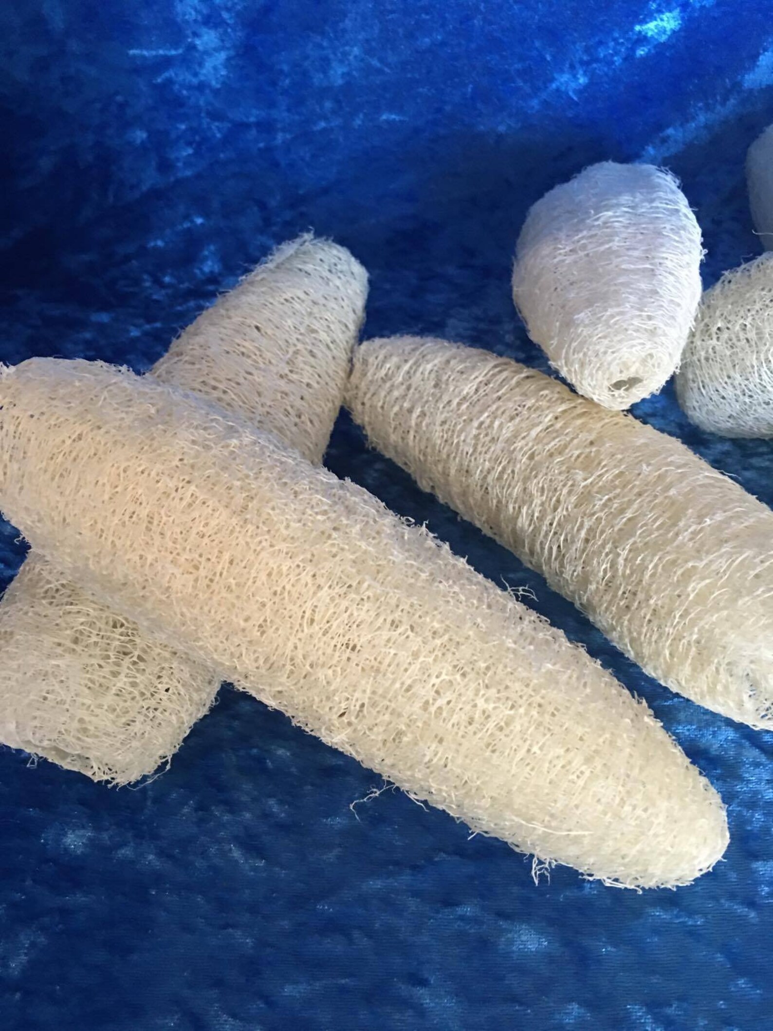 Loofah Set of 3 Pieces Raw Natural Unprocessed Loofah Etsy