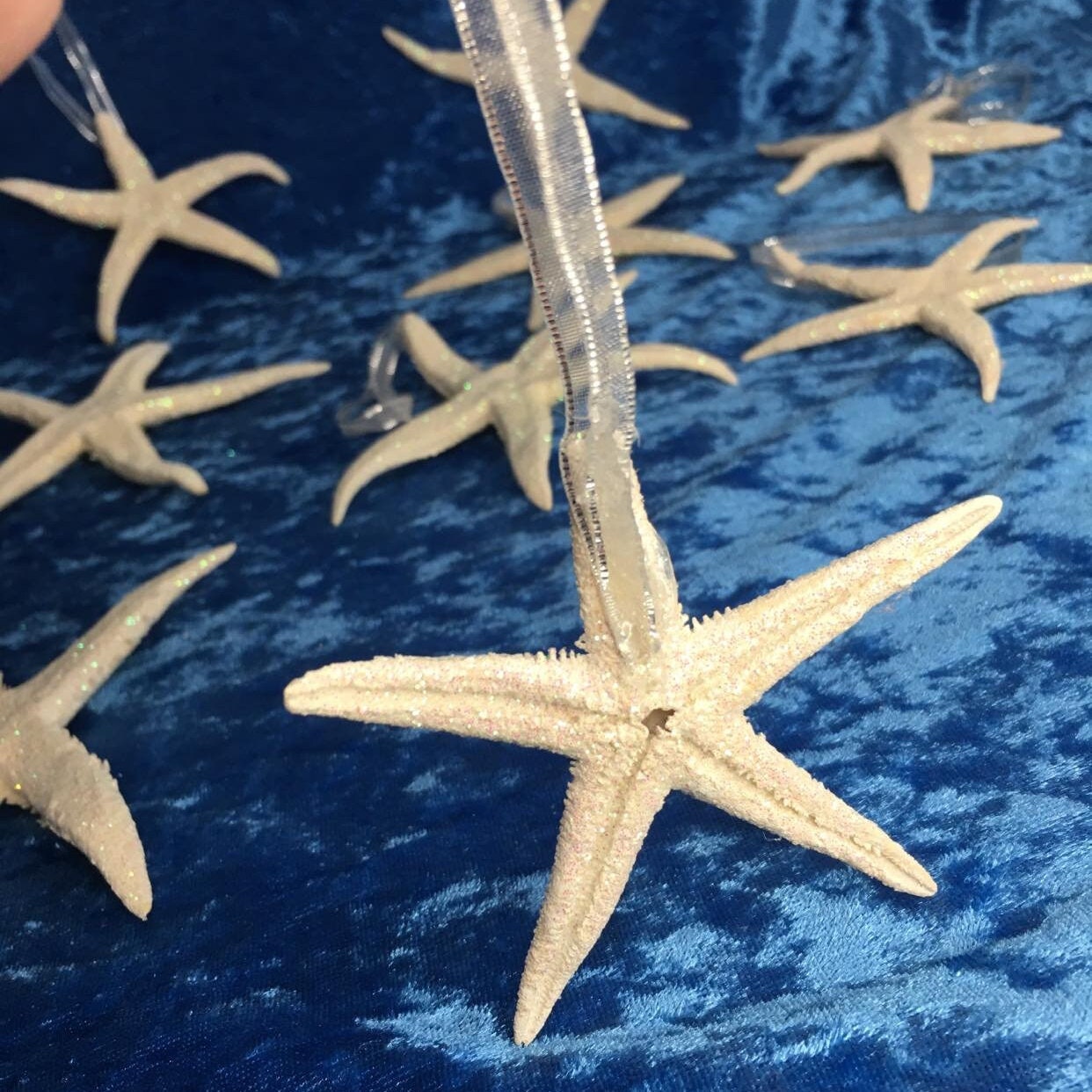 3d glitter starfish shell nail art decoration charms / 6pcs