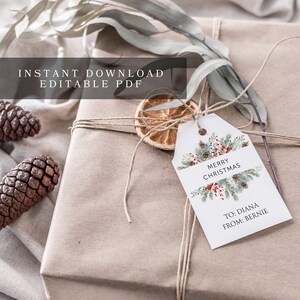 Editable Gift tag, Christmas Personalized Gift Tags from Santa, Holiday Party Favor Tags, Christmas Tags, Gift Favor Tags Tags for Gifts