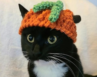 Cat Hat/Cat Pumpkin Hat/Dog Hat/Dog Hat/Halloween Cat Costume/Halloween Fur Baby/ Crocheted Pumpkin Hat