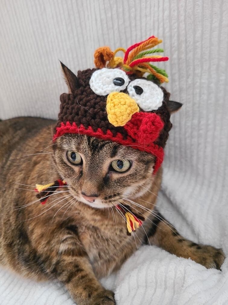 Cat Thanksgiving Costume