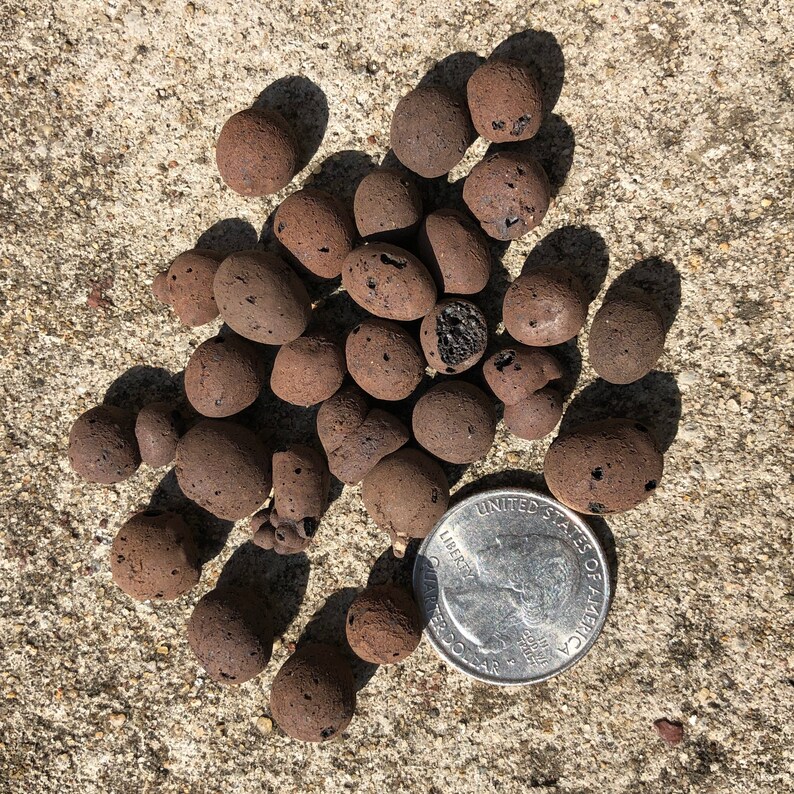 Leca Clay Balls / Ceramsite Plant Propagation Semi Hydro