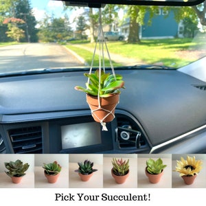 May include: A selection of six artificial succulent plants in small terracotta pots. The plants are hanging from a rearview mirror in a car. The text "Pick Your Succulent!" is displayed below the plants.