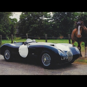 Puede incluir: Un coche deportivo azul oscuro vintage con círculos blancos en el lateral. El coche está aparcado en una carretera pavimentada, con un caballo cerca. La matrícula del coche es "LSF 420".