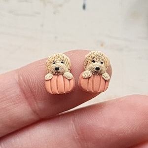 May include: A pair of stud earrings featuring a miniature dog peeking out of a peach-coloured pumpkin.