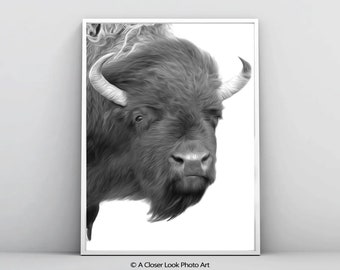 Bison Buffalo Print, Animal Wall Art, Western Print, Digital Download Poster, Photography Prints, Printable Art, Wall Art Decor