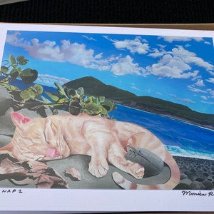 Cat Nap Boxed Set van 5x7 handgemonteerde en gesigneerde kaarten