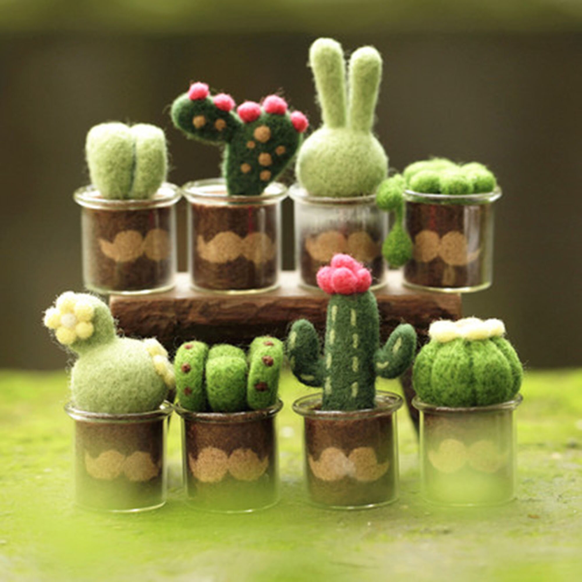 Mini Succulents Needle Felting KitDIY Felting CraftsBeginner Etsy