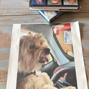 Puede incluir: Una impresión rectangular sobre tela que muestra a un perro de pelo largo y color canela sentado en el asiento del conductor de un vehículo. El perro mira hacia la derecha con la boca abierta y la lengua visible. Se ve el interior del coche.