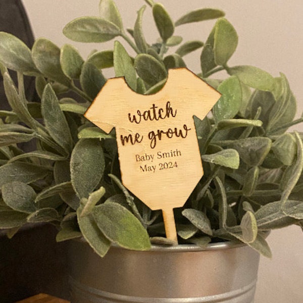 Succulent Baby Shower Plant Tags | Personalized Party Favors | Baby Shower Favor | Watch Me Grow |Succullent Sticks | Bulk Gift Tags Favors