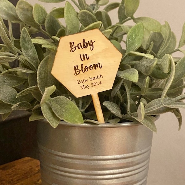 Succulent Baby Shower Plant Tags | Personalized Party Favors | Baby Shower Favor | Baby in Bloom |Succullent Sticks | Bulk Gift Tags Favors