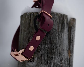 E Collar bungee strap