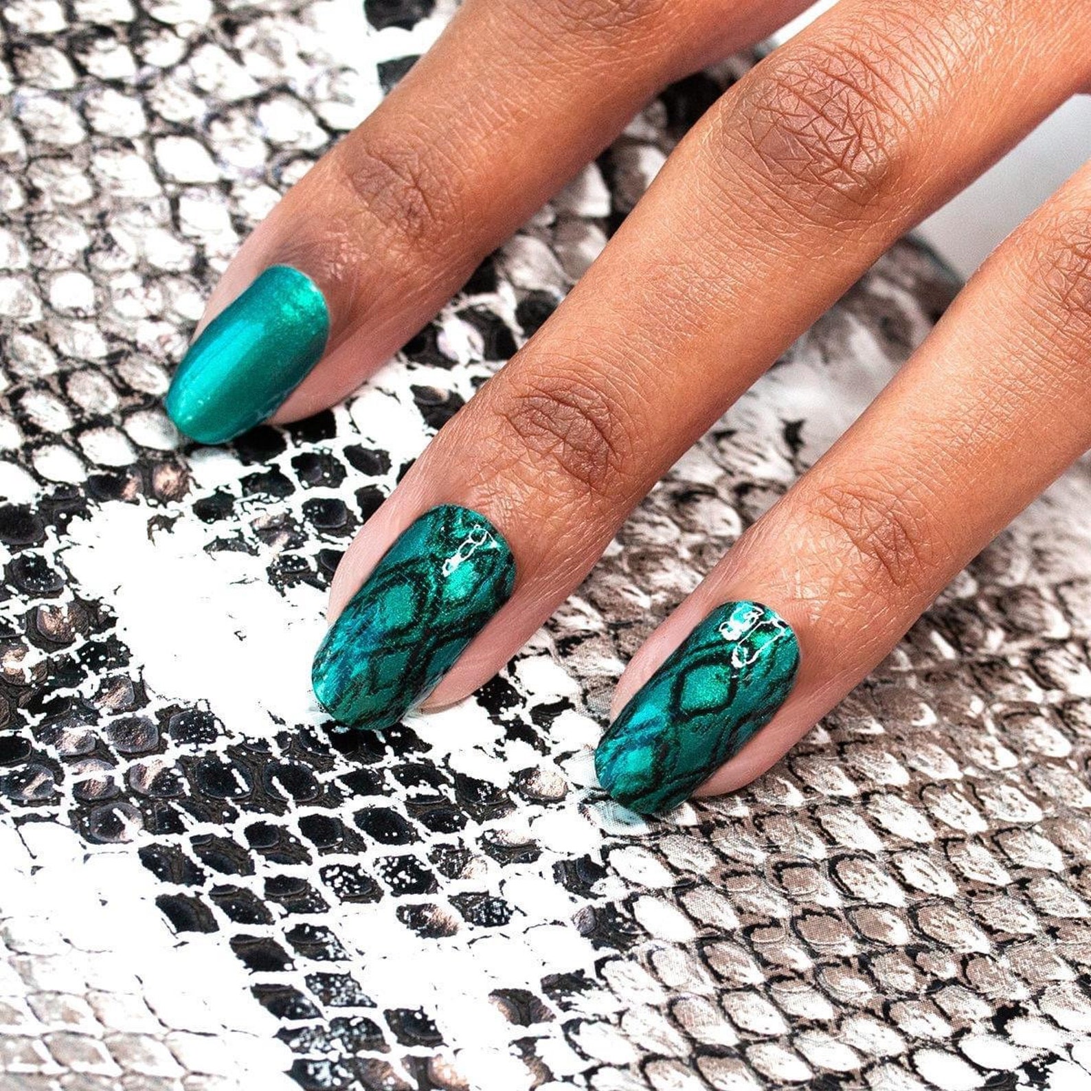 Color Street: Snake My Day RETIRED - Etsy