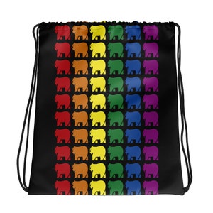 Rainbow Bears Drawstring Bag | Gym Bag | Sports Backpack | Vibrant Print Bag | LGBTQ Pride Accessory | Bear Pride Gear