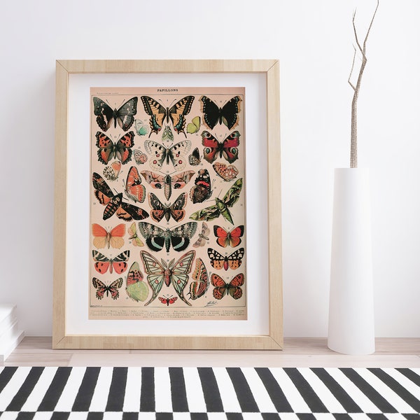 Papillons by Adolphe Millot | Vintage Botanical Poster