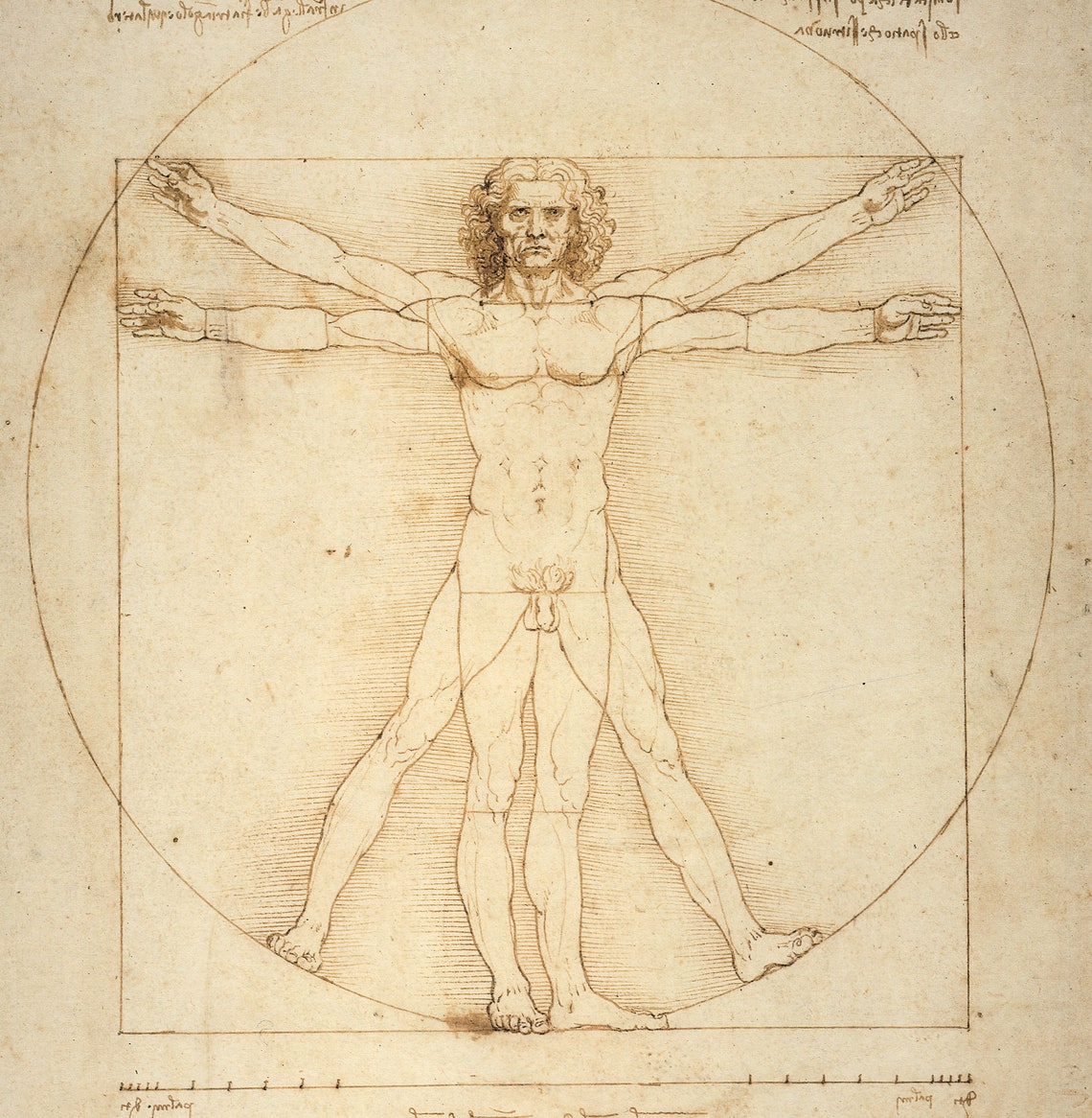 Vitruvian Man by Leonardo da Vinci Vintage Fine Art Print
