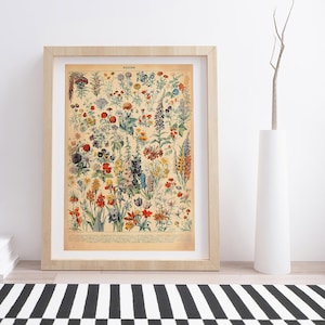 Fleurs by Adolphe Millot | Vintage Botanical Poster